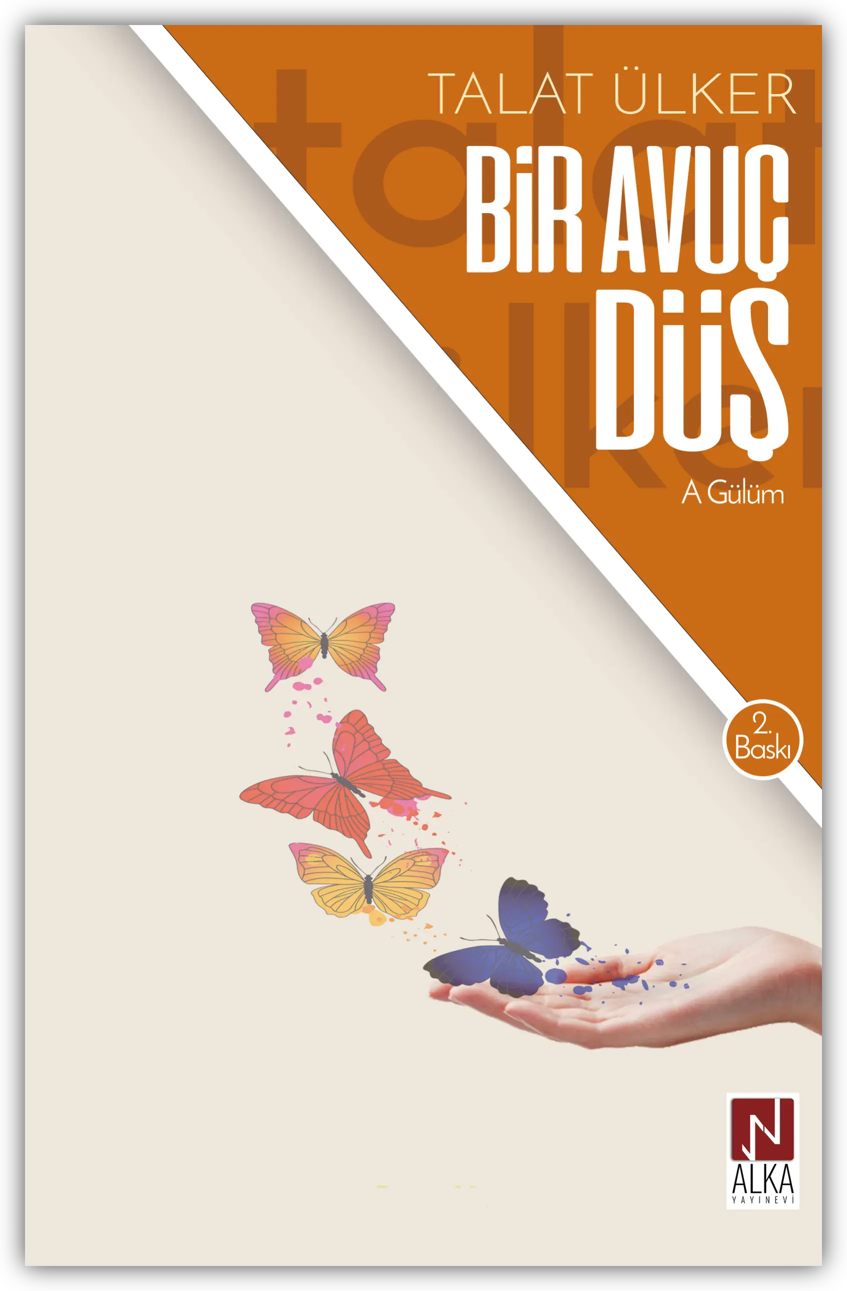 Bir Avuç Düş